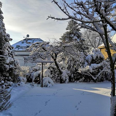 Vila Krocinka Prag Dış mekan fotoğraf