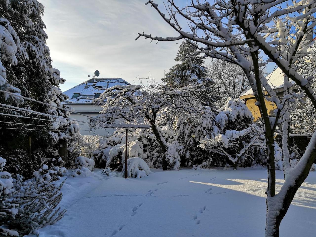 Vila Krocinka Prag Dış mekan fotoğraf